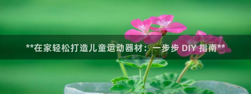 意昂体育3平台注册要钱吗是真的吗:**在家轻松打造儿童运动器