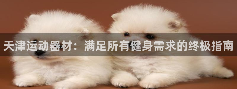 意昂体育3招商电话:天津运动器材:满足所有健身需求的终极指南