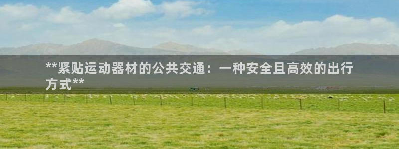 意昂3官网:**紧贴运动器材的公共交通:一种安全且高效的出行