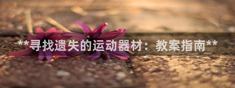 意昂3代理:**寻找遗失的运动器材:教案指南**